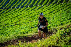 BIB: 
                            <button type="button" onclick="openModal(19160383)" class="btn btn-primary btn-sm float-right btn-popup" data-toggle="modal" data-target=".modal-high-quality">
                        <i class="fas fa-shopping-cart"></i> Add to Cart
                    </button>
                                            <button type="button" onclick="isThisMe(19160383, true)" class="btn btn-success btn-sm float-right btn-popup btn-isme hidden" data-toggle="tooltip" data-placement="bottom" title="นี่คือรูปของคุณใช่ไหม คลิกที่นี่เพื่อเอาเข้าอัลบั้ม">
                        <i class="fas fa-plus"></i> Add to album
                    </button>
                    <button type="button" onclick="isThisMe(19160383, false)" class="btn btn-warning btn-sm float-right btn-popup btn-isnotme hidden">
                        <i class="fas fa-ban"></i> Remove from album
                    </button>